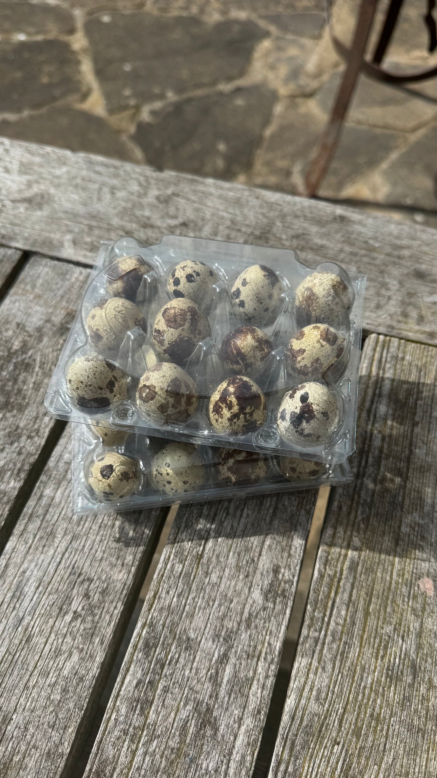 Qual eggs - 12