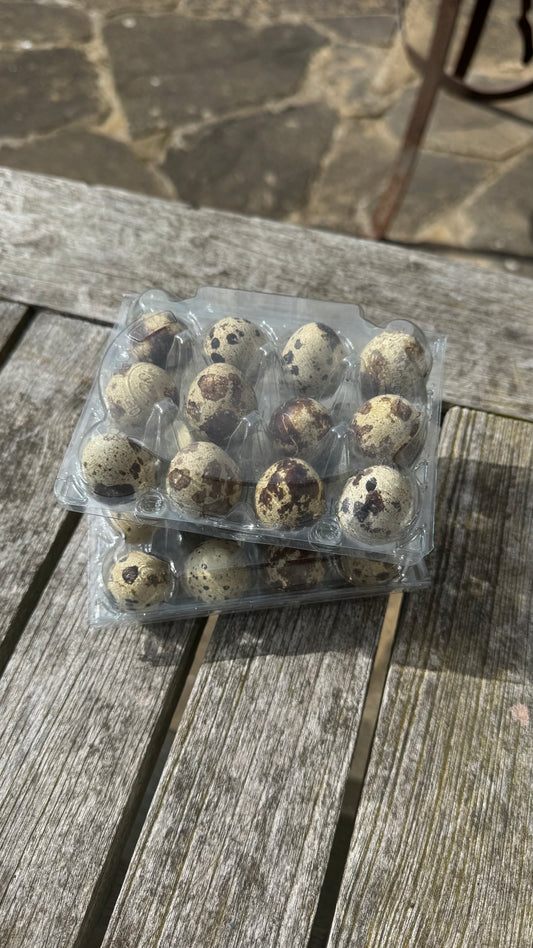 Qual eggs - 12
